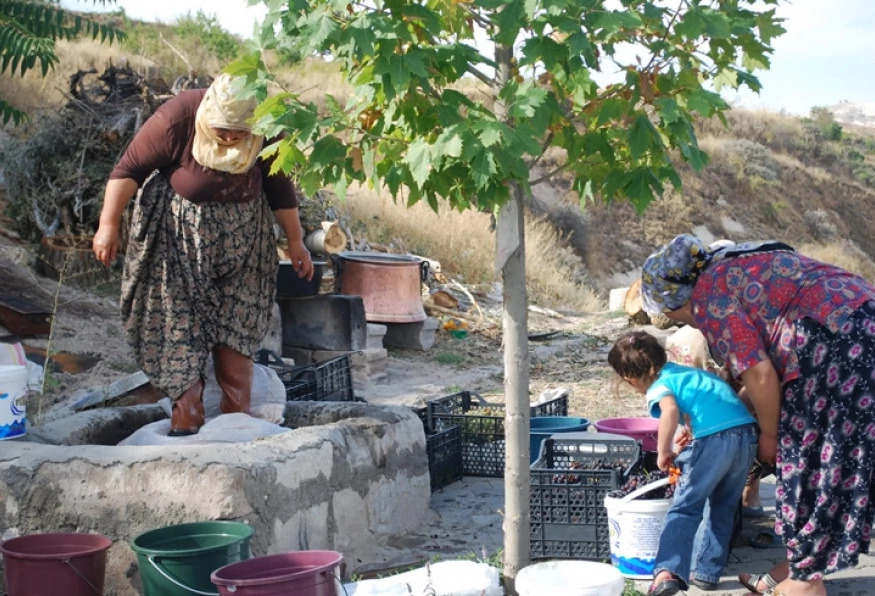 Authentic Cappadocia Grape Harvest & Pekmez Making Tour – Traditional Turkish Food Experience photo 4