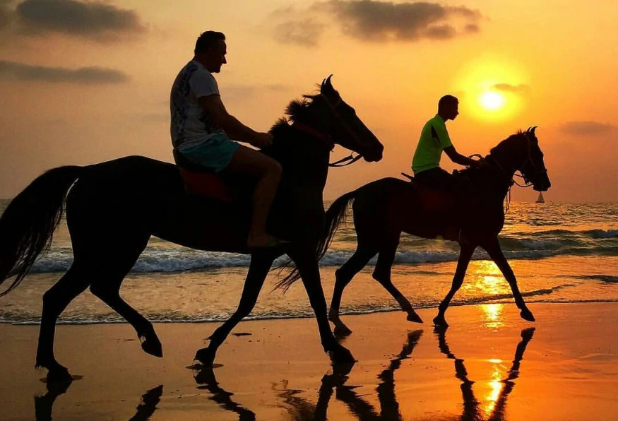 Daily Horseback Riding in Marmaris photo 3