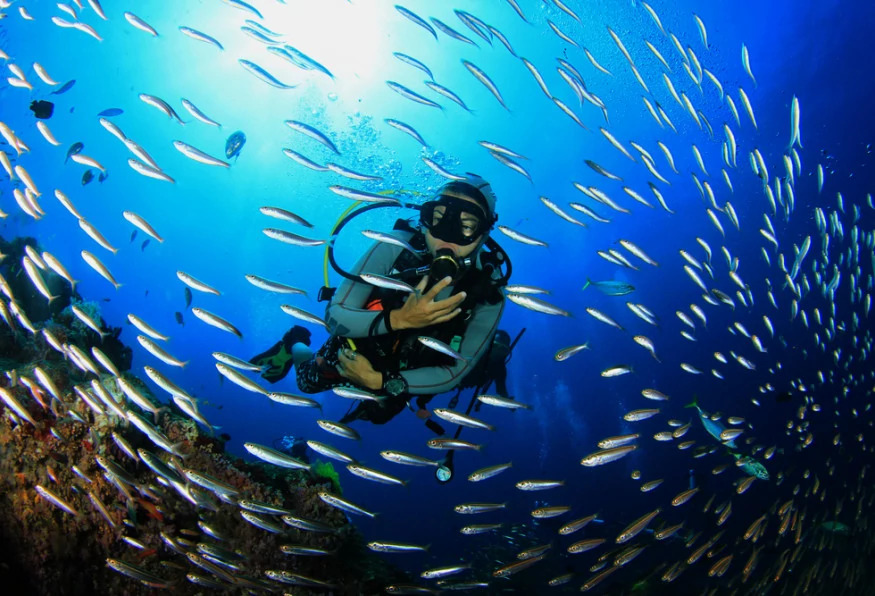 Daily Diving Tour from Mugla photo 1