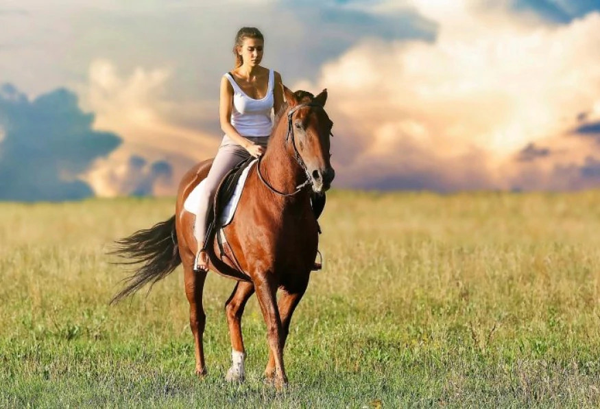 Daily Horseback Riding in Marmaris photo 4