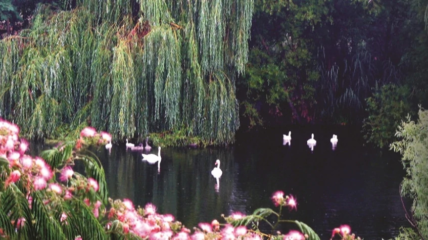 Daily Romаntic Tour to the Fairy Tale Castle photo 11