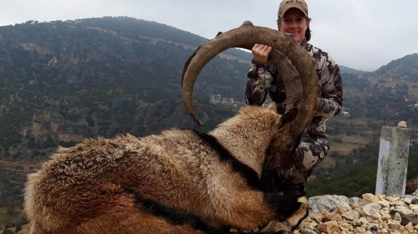 7 Days Hunting Bezoar Ibex Package Antalya photo 2