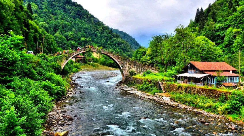 Daily Rize Pokut Plateau Tour photo 4