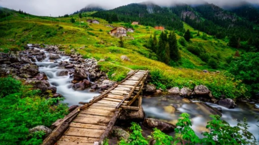 Daily Rize Pokut Plateau Tour photo 5