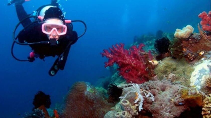 Alanya Scuba Diving Tour photo 5