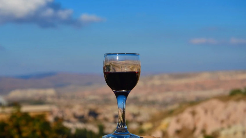 Cappadocia Grape Harvesting Tour from Kayseri photo 4