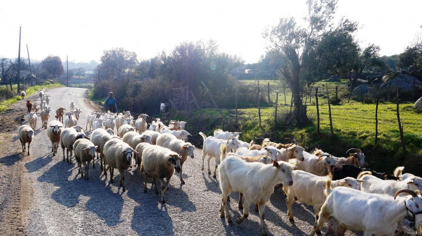 Altınbeşik Cave & Ormana Village Tour – Explore Taurus Mountains & Traditional Villages photo 10