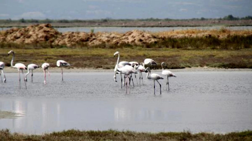 Daily the Lake Gala National Park Tour photo 2