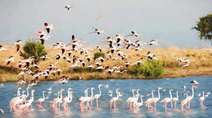 Daily the Lake Gala National Park Tour photo 3