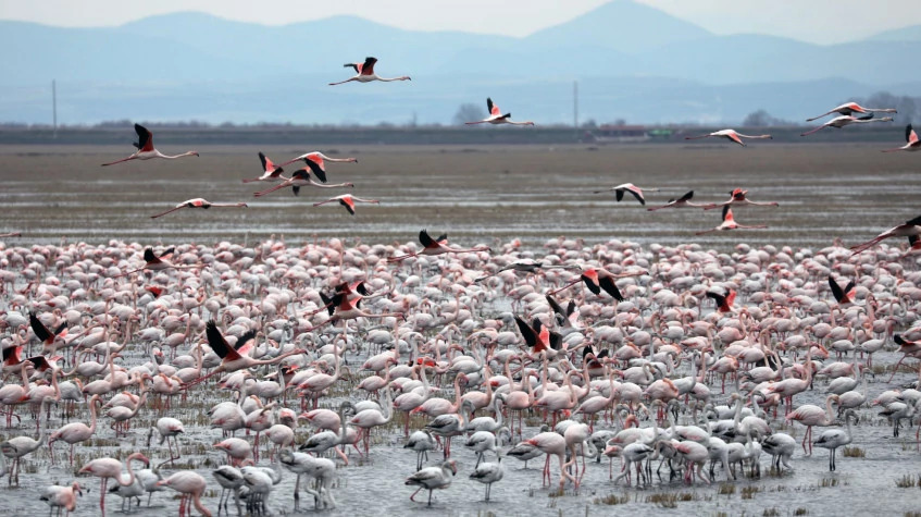 Daily the Lake Gala National Park Tour photo 4