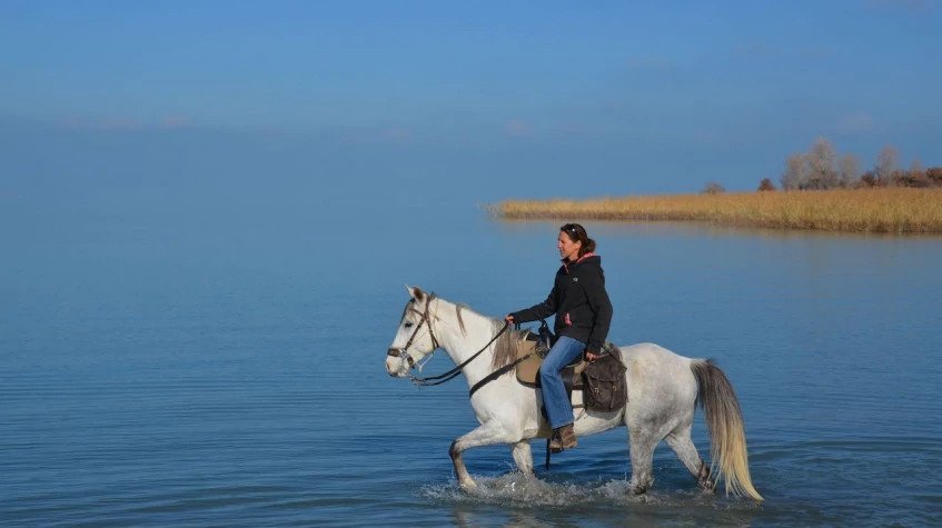Horse Riding At the Golden Sandy Beach of Antalya photo 5