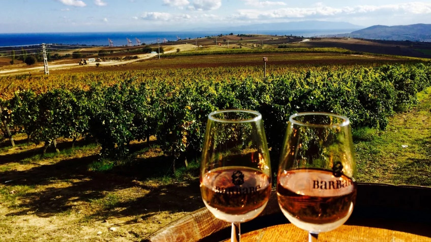Daily Edirne Tekirdag Wine Tasting Tour photo 3