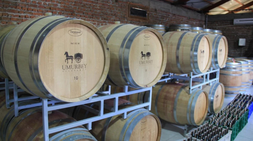 Daily Edirne Tekirdag Wine Tasting Tour photo 6