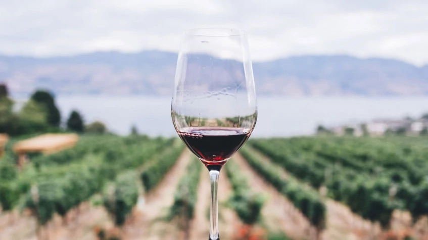 Daily Edirne Tekirdag Wine Tasting Tour photo 9