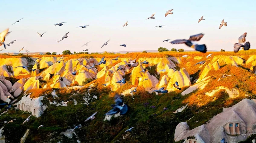 Daily Cappadocia Photo Safari Tour – Explore Panoramic Viewpoints & Iconic Landscapes photo 3