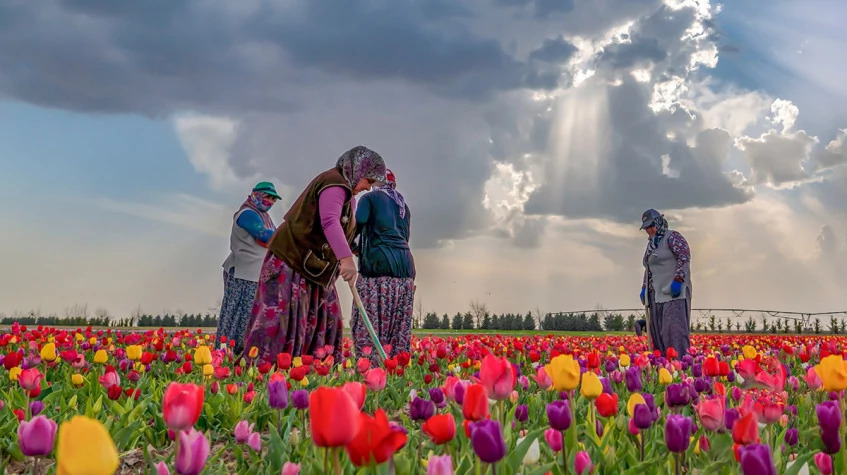 4 Days Konya Cultural Vacations Tour photo 9