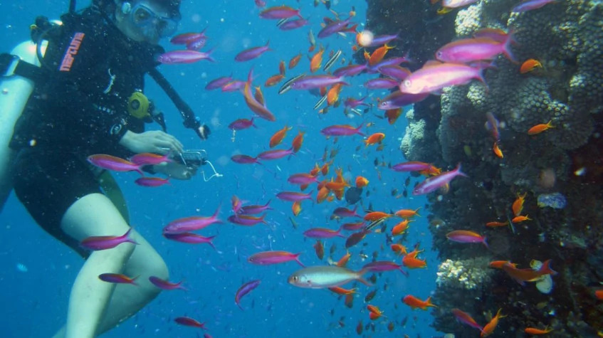Daily Scuba Diving Tour from Manavgat photo 1