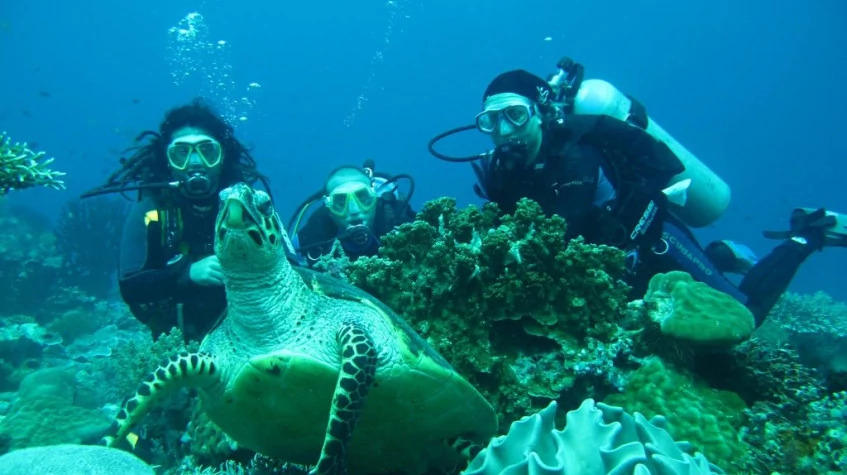 Daily Scuba Diving Tour from Manavgat photo 2