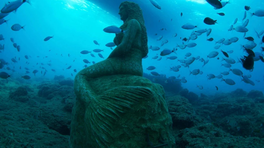 Daily Scuba Diving Tour from Manavgat photo 8