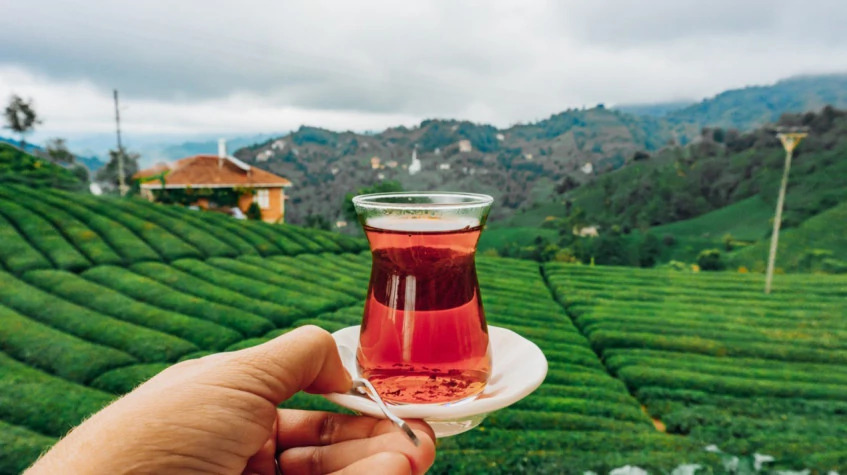4 Days Rize City & Cooking Tour photo 4