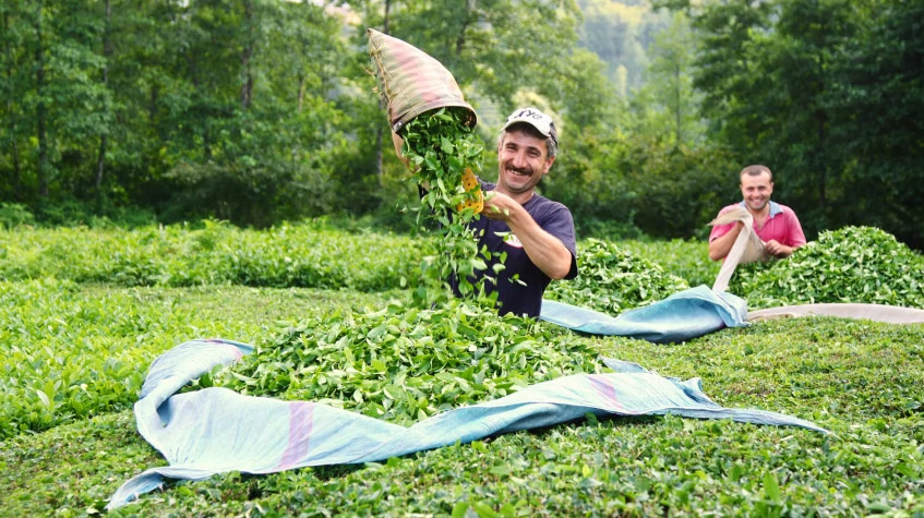 4 Days Rize City & Cooking Tour photo 9