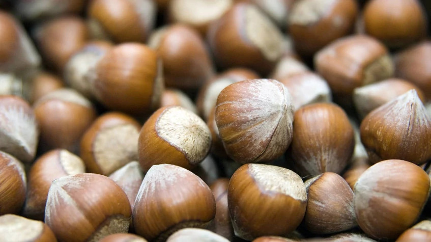 4 Days Giresun Hazelnut City & Cooking Tour photo 2