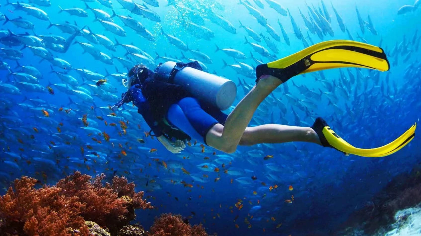 Daily Scuba Diving in Oludeniz photo 2