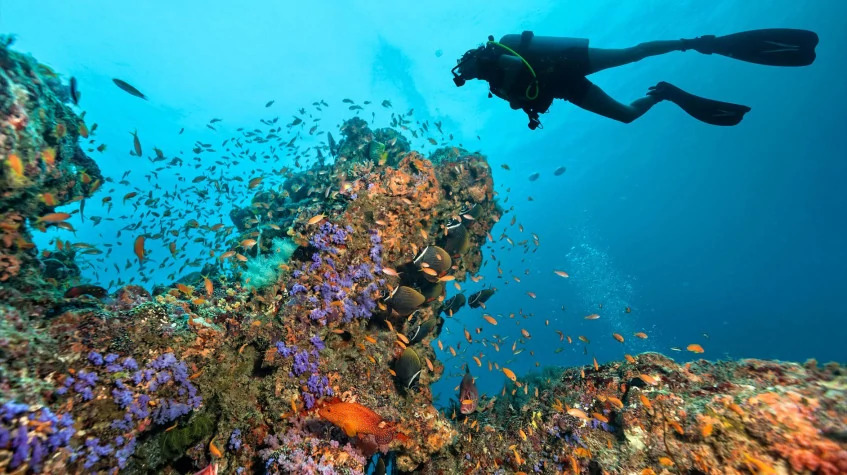 Daily Scuba Diving in Oludeniz photo 7