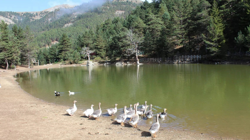 Daily Gumushane Limni Lake Tour photo 6
