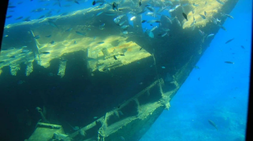 Semi Submarine Underwater Safari Marmaris Tours photo 3