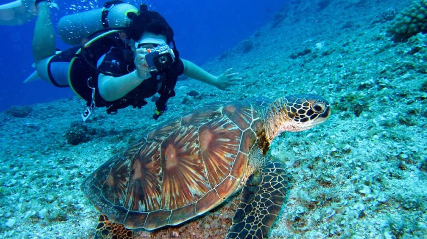 Daily Scuba Diving Marmaris photo 2
