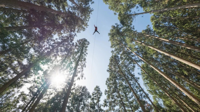 Daily Duzce Zipline & Trekking Tour photo 5