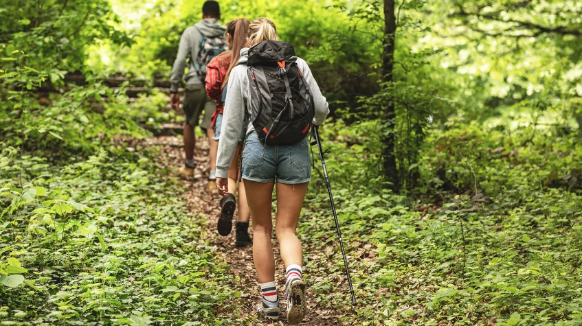 Daily Duzce Zipline & Trekking Tour photo 10
