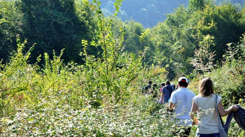 Daily Duzce Waterfalls Tour photo 5