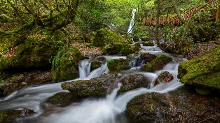 Daily Duzce Waterfalls Tour photo 10