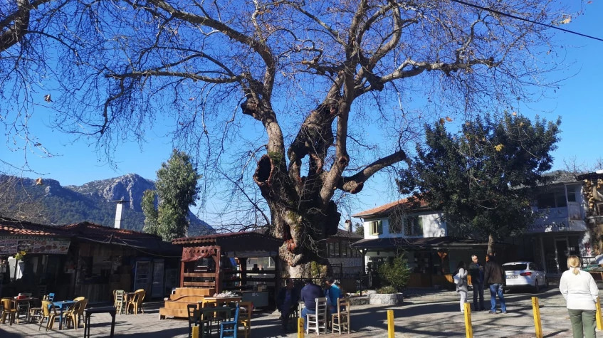 Daily Turkish Village Tour Marmaris photo 11