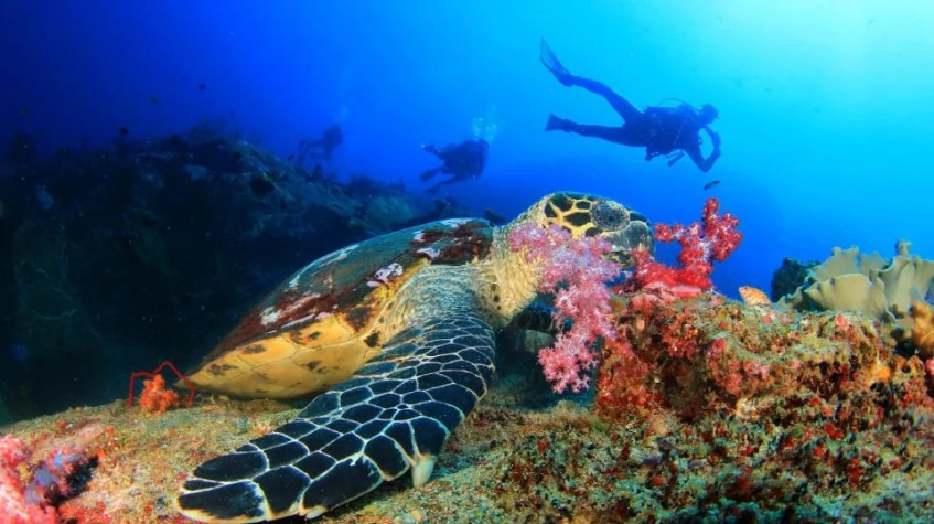 Scuba Diving from Marmaris Area photo 5