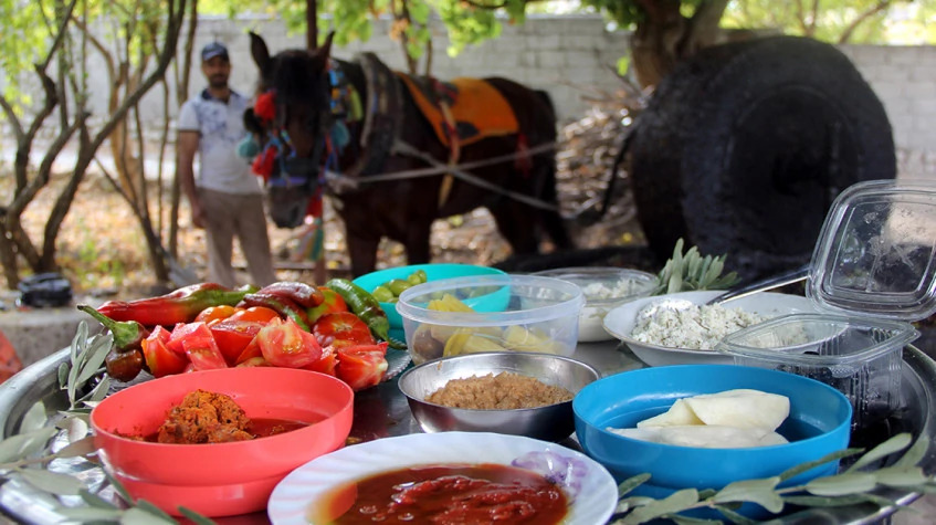 Daily Hatay Olive Oil Tasting Tour photo 6