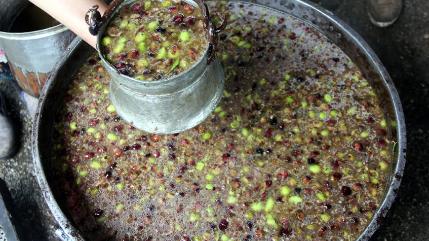 Daily Hatay Olive Oil Tasting Tour photo 9