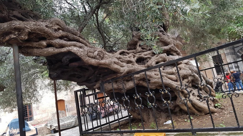 Daily Hatay Payas Tour photo 9