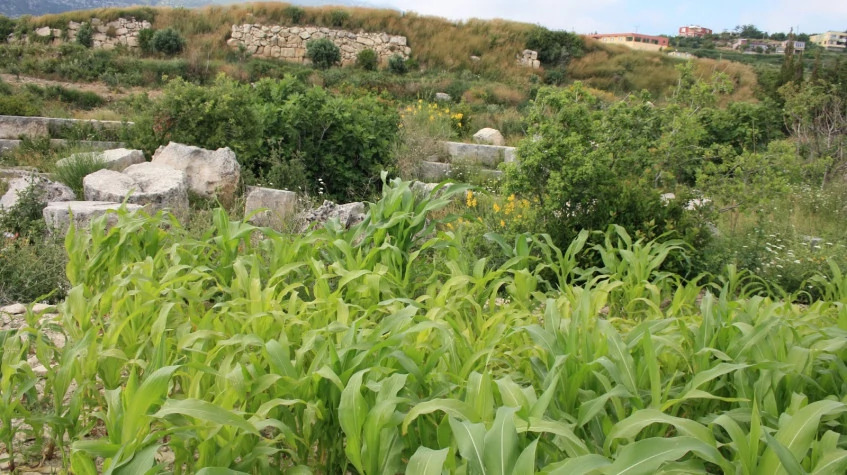 Daily Hatay Samandag Tour photo 3
