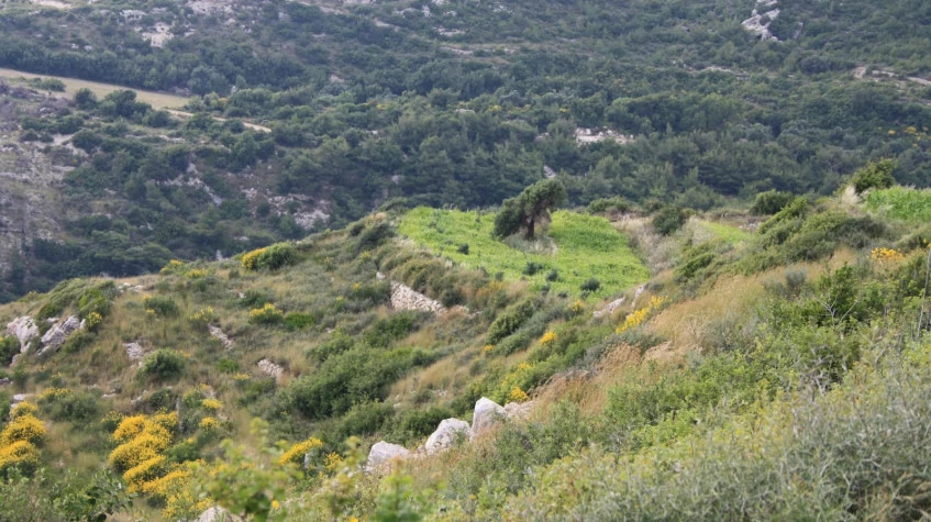 Daily Hatay Samandag Tour photo 4