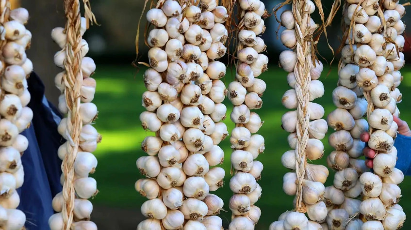 Daily Fethiye Tuesday Market Tour from Dalyan photo 4