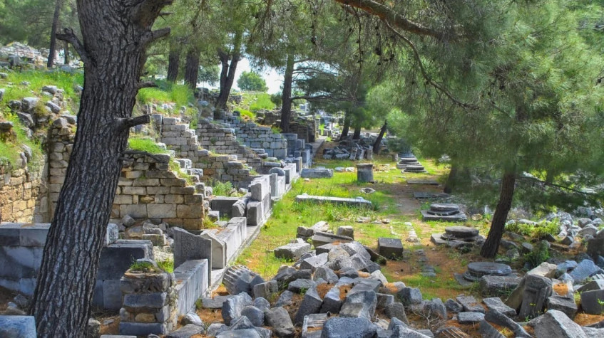 Daily Didyma-Miletos-Priene Tour photo 5