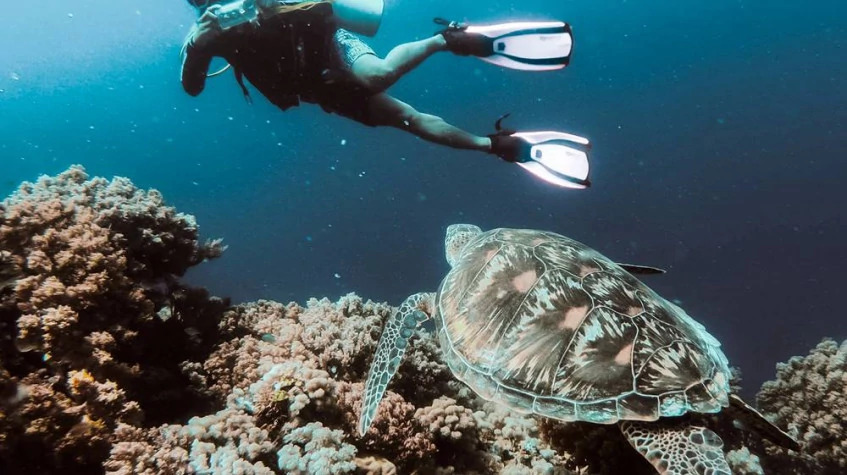 Daily Dalyan Diving Tour photo 3
