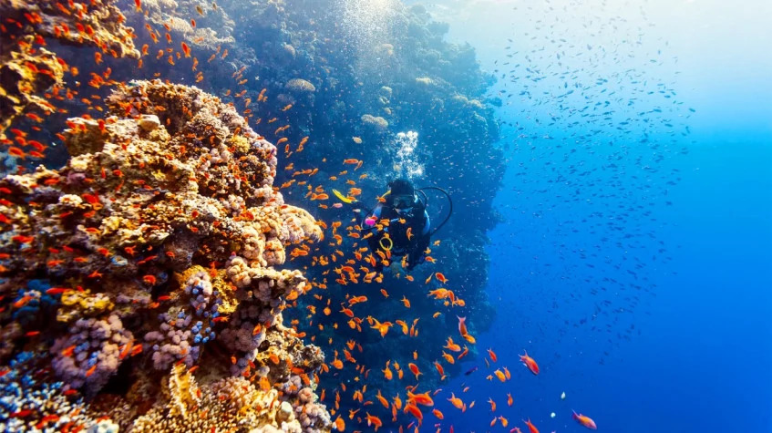 Daily Dalyan Diving Tour photo 7