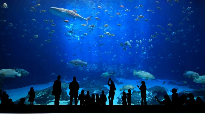 5 Days Accessible Travel Istanbul City Tour Package photo 9