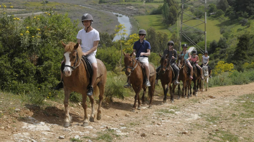 Daily Didim Horse Safari Tour photo 1