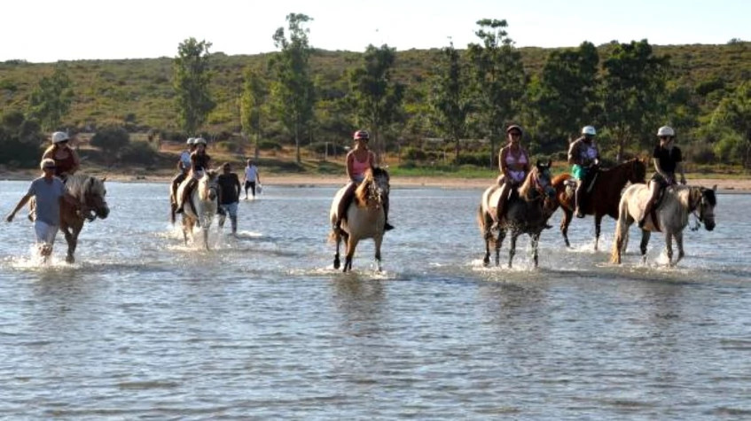 Daily Didim Horse Safari Tour photo 3