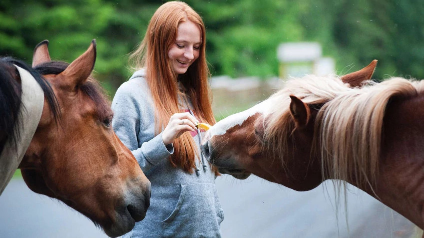 Daily Didim Horse Safari Tour photo 4